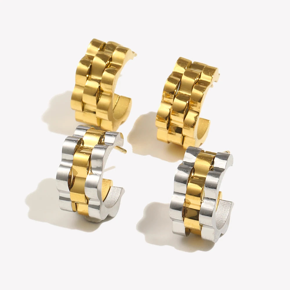 Legacy Links Earrings