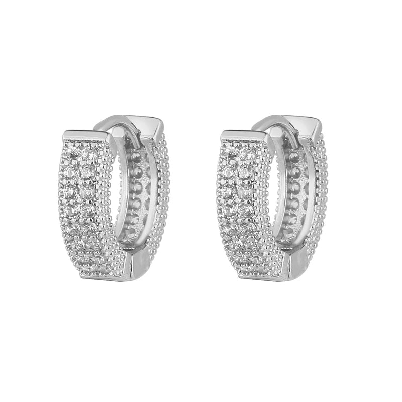 Elegant Hoop Hollow with Zircons Earrings