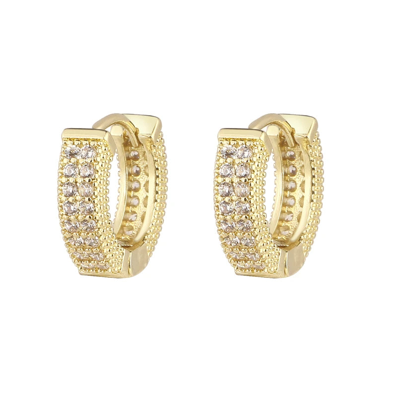 Elegant Hoop Hollow with Zircons Earrings