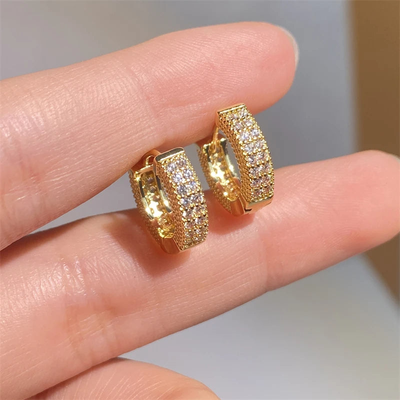 Elegant Hoop Hollow with Zircons Earrings