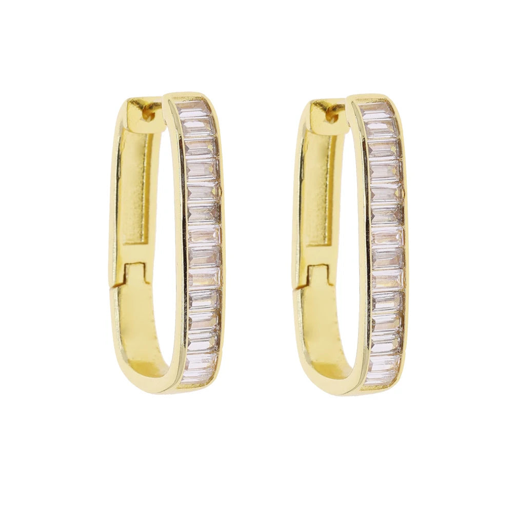 Dynasty Iced Rectangle Hoops Earrings