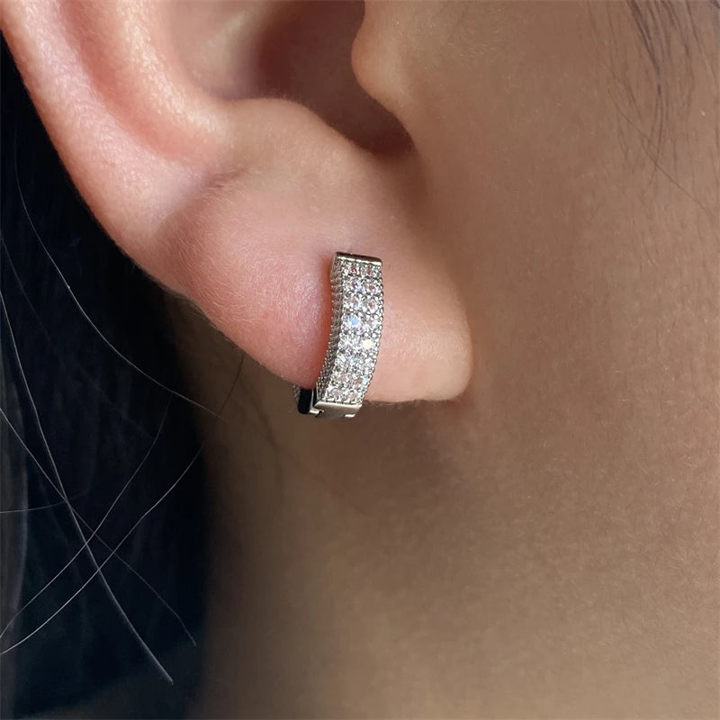 Elegant Hoop Hollow with Zircons Earrings