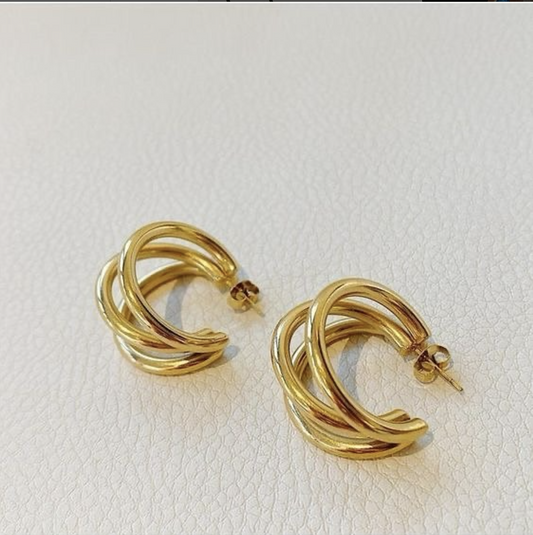 Intertwined Elegance Earrings