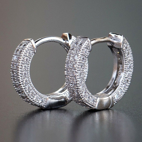 Elegant Hoop Hollow with Zircons Earrings