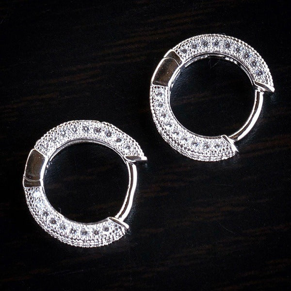 Elegant Hoop Hollow with Zircons Earrings